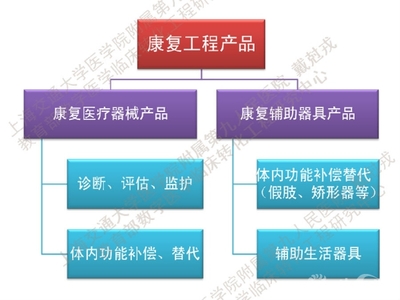 戴克戎 3D打印個性化康復輔具——假肢與矯形器的革新之路